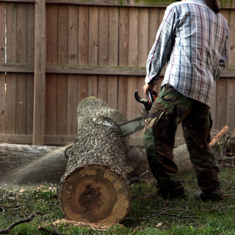 Landscaping in Vacaville, CA