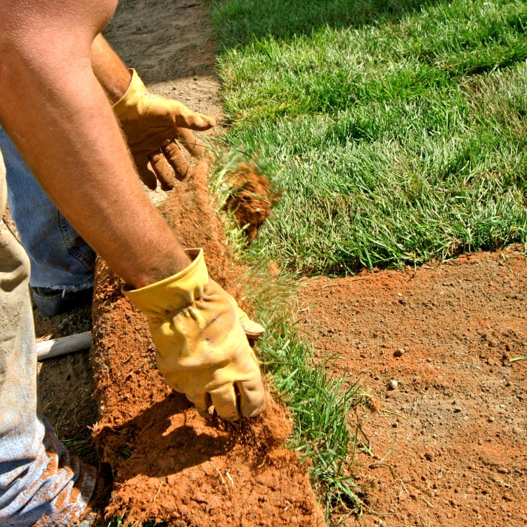 Landscaping in Vacaville, CA Landscaping in Vacaville, CA