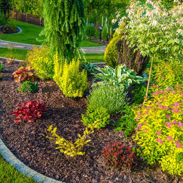 Landscaping in Vacaville, CA Landscaping in Vacaville, CA