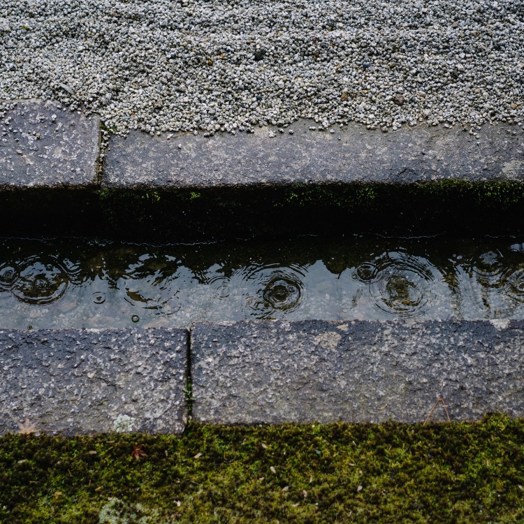 Landscaping in Vacaville, CA Landscaping in Vacaville, CA