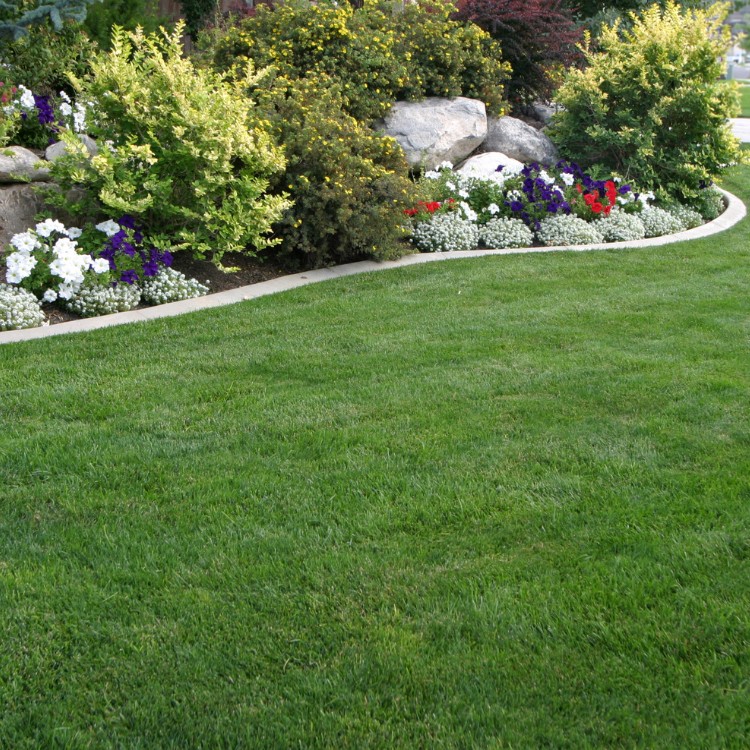 Landscaping in Vacaville, CA Landscaping in Vacaville, CA